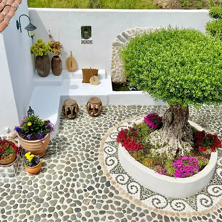 Casa De Oro Alma 4*