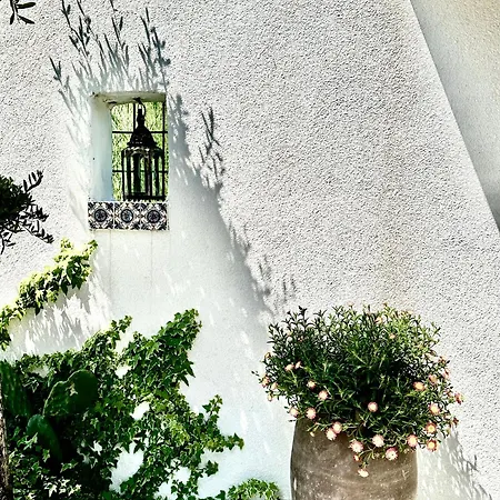 Casa De Oro Alma Aparthotel 3*