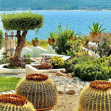 شقة فندقية Casa De Oro Alma