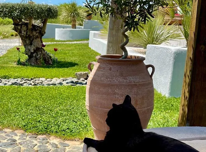 Casa De Oro Alma شقة فندقية 4*