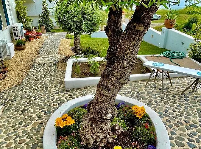 Casa De Oro Alma 4*