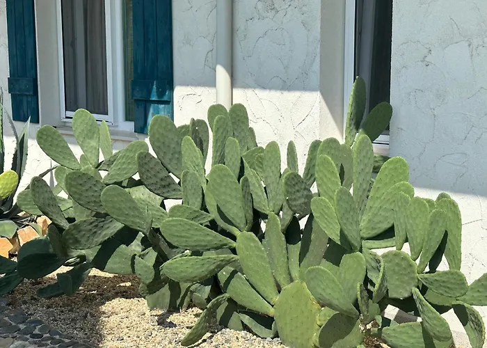 公寓式酒店 Casa De Oro Alma