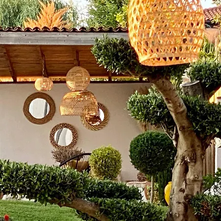Casa De Oro Alma 4* סוזופול