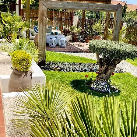 Casa De Oro Alma ソゾポル