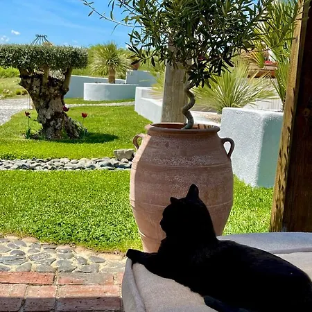 Casa De Oro Alma Апартхотел 4*