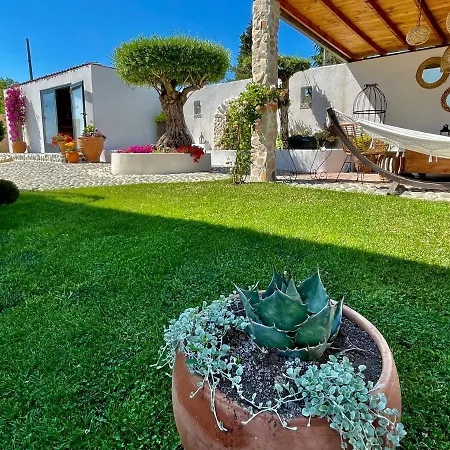 Casa De Oro Alma 4*