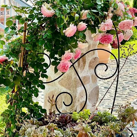 Casa De Oro Alma Lejlighedshotel Sozopol