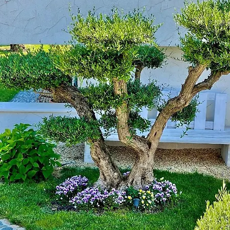 Casa De Oro Alma Lejlighedshotel 4*