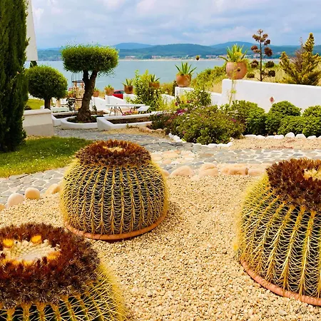 Aparthotel Casa De Oro Alma