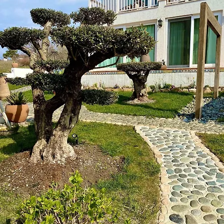 Casa De Oro Alma מלון דירות