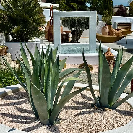 Casa De Oro Alma アパートホテル