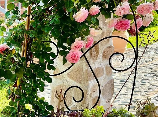 Casa De Oro Alma Hotel apartamentowy Sozopol