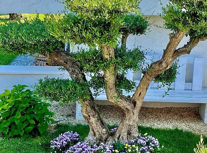 Casa De Oro Alma Aparthotel 4*