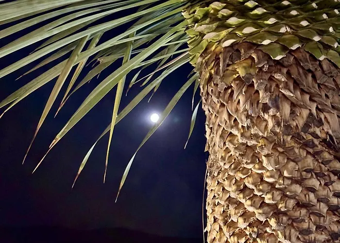 Aparthotel Casa De Oro Alma Sozopol