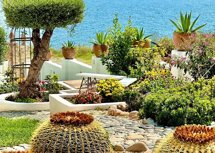 Aparthotel Casa De Oro Alma