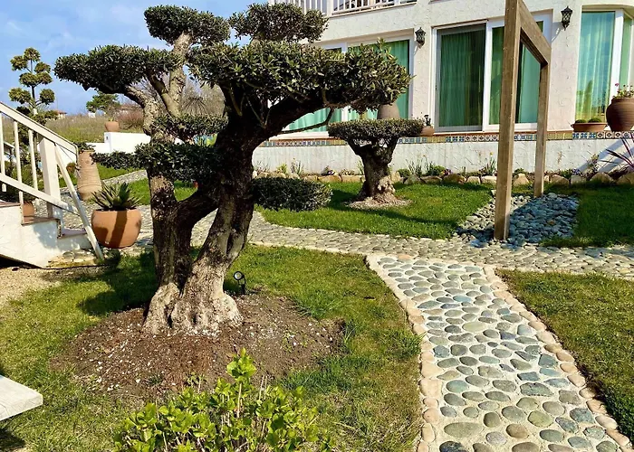 Casa De Oro Alma Aparthotel